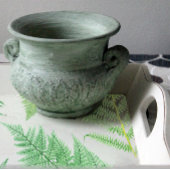  Plant van Fern Botanische loszijde Tissuepapier