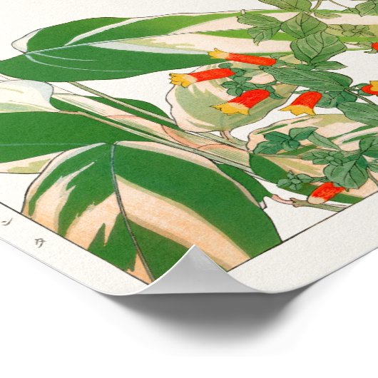 Plant van gebeden, Firecracker van Tanigami Konan Poster (Hoek)