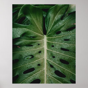 Plant van groene bladeren poster