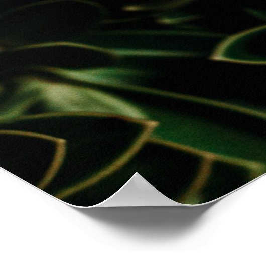 Plant van groene bladeren poster (Hoek)