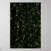 Plant van groene bladeren poster (Voorkant)