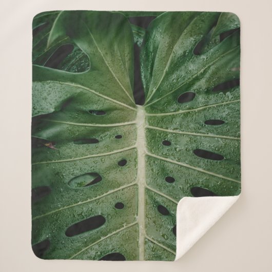 Plant van groene bladeren sherpa deken (Voorkant)