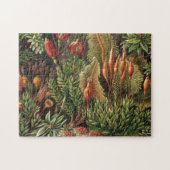  Plant van Haeckel - Life Print Legpuzzel (Horizontaal)