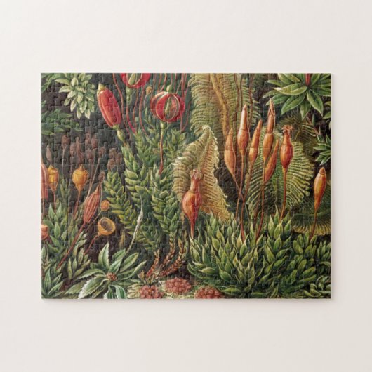 Plant van Haeckel - Life Print Legpuzzel (Horizontaal)