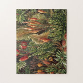 Plant van Haeckel - Life Print Legpuzzel (Verticaal)