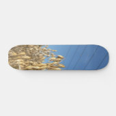 Plant van haver skateboard (Horizontaal)
