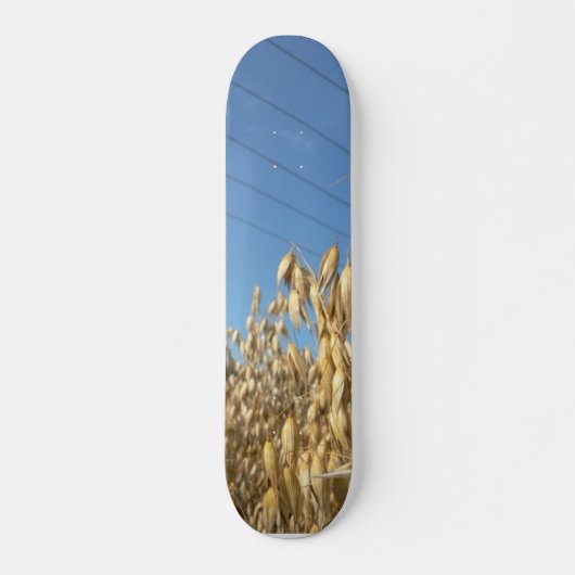 Plant van haver skateboard (Voorkant)