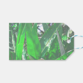 Plant van het type Groene bladbanaan verlaat paste Cadeaulabel