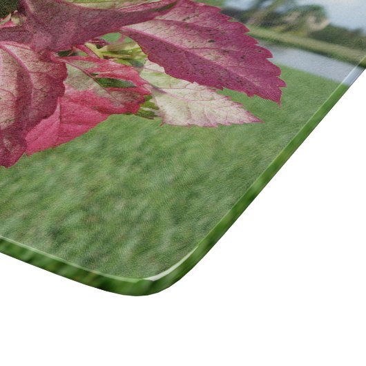 Plant van Hibiscus "Fire and Ice" Snijplank (Hoek)