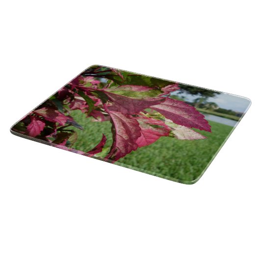 Plant van Hibiscus "Fire and Ice" Snijplank (Hoek)