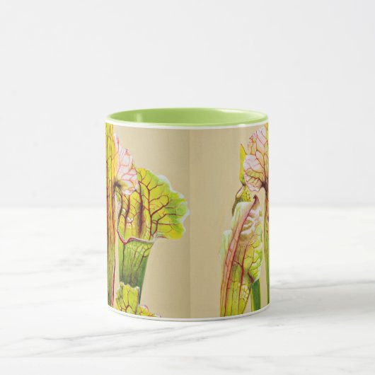 Plant van kustPitcher-cluster Mok (Midden)