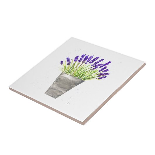 Plant van lavenderkruid Rustisch Paars Kitchen Tegeltje (Zijkant)