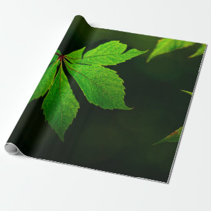 Plant van lederen veinpatroon cadeaupapier