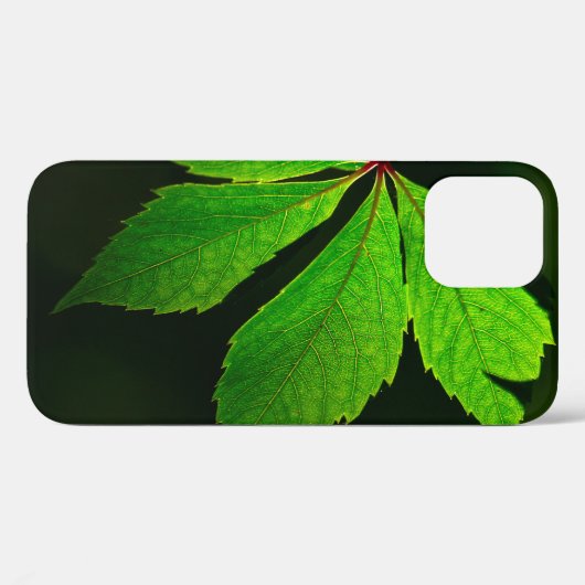 Plant van lederen veinpatroon Case-Mate iPhone case (Achterkant (horizontaal))