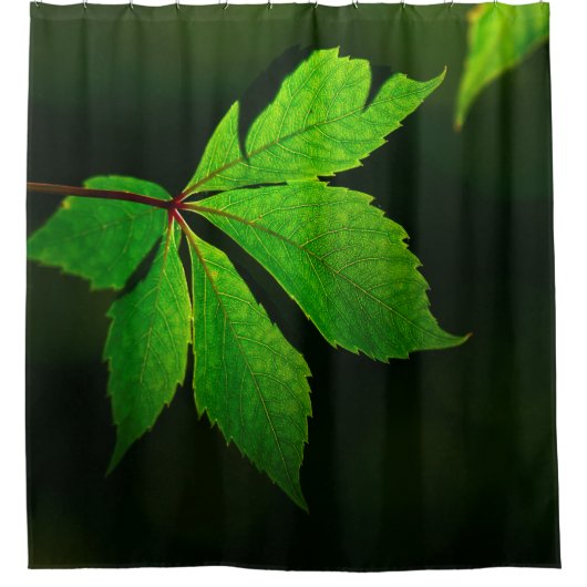 Plant van lederen veinpatroon douchegordijn (Voorkant)