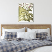 Plant van tabak van de soort "Hortus Eystettensis" Canvas Afdruk (Insitu (Slaapkamer))