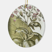 Plant van tabak van de soort "Hortus Eystettensis" Keramisch Ornament (Links)