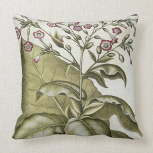 Plant van tabak van de soort "Hortus Eystettensis" Kussen