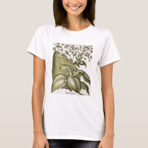Plant van tabak van de soort "Hortus Eystettensis" T-shirt