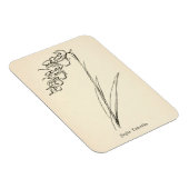 Plant van theebloem  jinglia tinkettlia magneet (Rechterzijde)