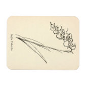 Plant van theebloem  jinglia tinkettlia magneet (Horizontaal)