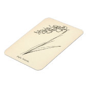 Plant van theebloem  jinglia tinkettlia magneet (Linkerzijde)