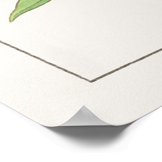 Plant van Wallbloem, geel en Oranje, door Konan; Poster (Hoek)