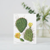 Plant van woestijn Cactus Patroon  Briefkaart (Staand voorkant)