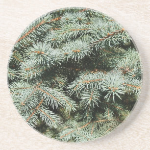 Plant/ventilator reeks-blauw Onderzetter van SPRU