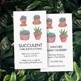 Plant Verzorgingsinstructies Houseplant Succulent  Visitekaartje