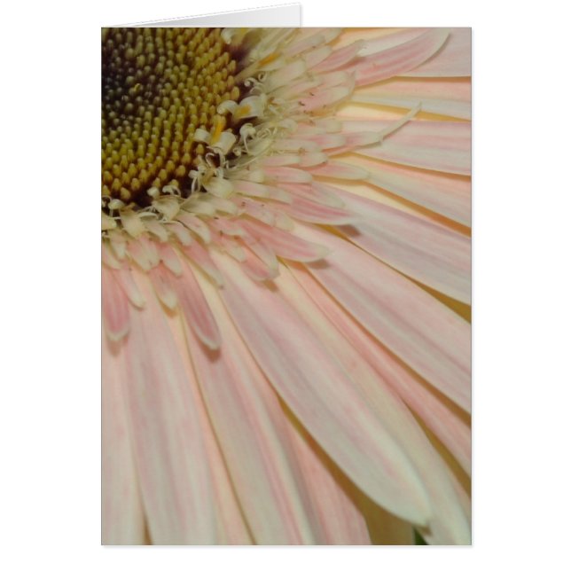 Plant voor de klep (Voorkant)