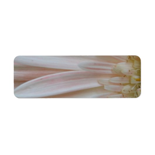 Plant voor de Kuur Bloem Etiket (Voorkant)