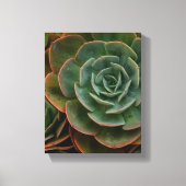 Plant voor groene zuinige ventilator fotografie canvas afdruk (Voorkant)