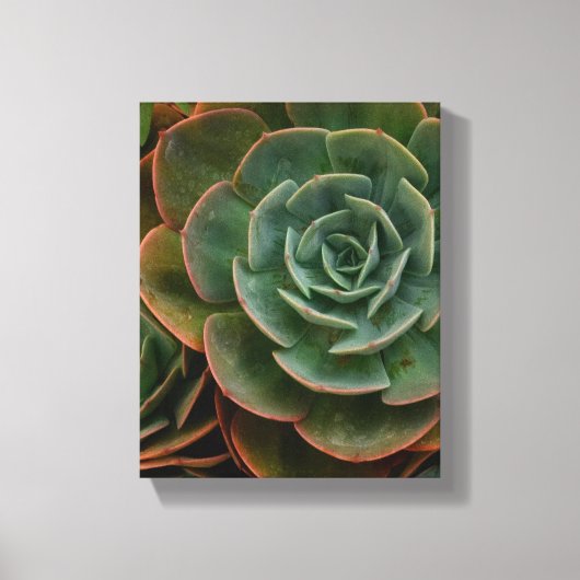 Plant voor groene zuinige ventilator fotografie canvas afdruk (Voorkant)