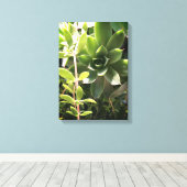 Plant voor kippen en kippen op Canvas Afdruk (Insitu (Houten vloer))