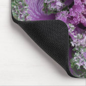 Plant voor sierkrulkool muismat (Hoek)