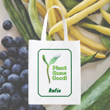 Plant wat goede zaailing milieu live groen