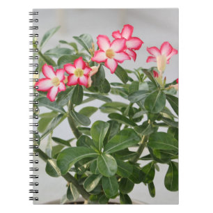 Plant woestijRoos Flowers Notitieboek