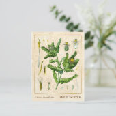  Plant zonder flesje Briefkaart (Staand voorkant)