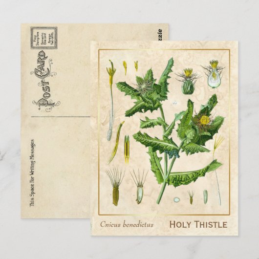  Plant zonder flesje Briefkaart (Voorkant / Achterkant)