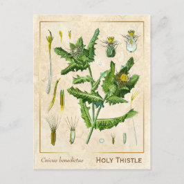 Plant zonder flesje Briefkaart