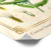  Plant zonder flesje Poster (Hoek)