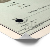 plantaardig systeem poster (Hoek)