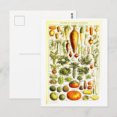  Plantaardige Botanische Illustratie Briefkaart (Voorkant / Achterkant)