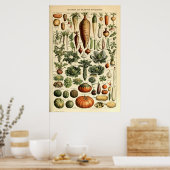  plantaardige kunst door Adolphe Millot Poster (Keuken)