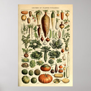 plantaardige kunst door Adolphe Millot Poster