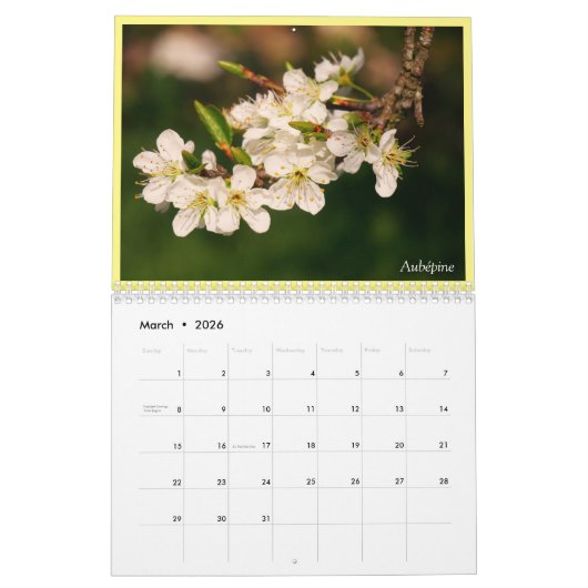 Plantaardige prijs 2021 kalender (Mar 2026)