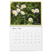 Plantaardige prijs 2021 kalender (Feb 2026)