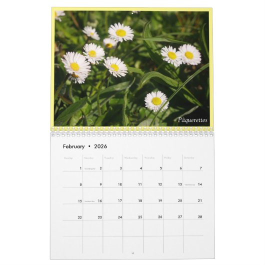 Plantaardige prijs 2021 kalender (Feb 2026)