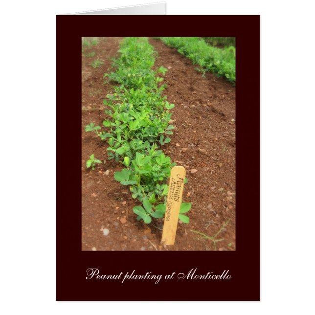 Plantaardige tuinen van Monticello (Voorkant)